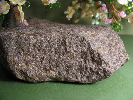 Сакура на камне